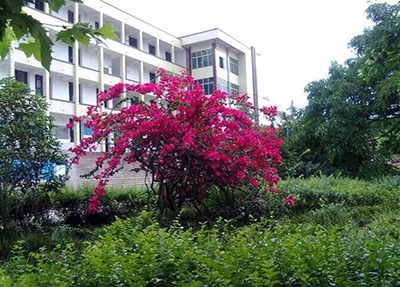 资阳口腔职业学院 资阳口腔职业学院