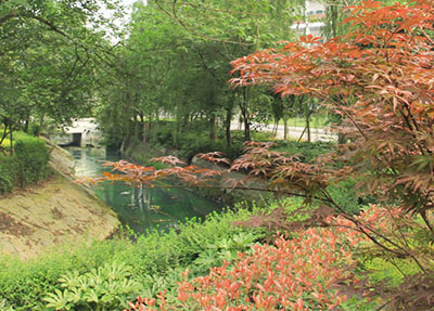 南充师范学校