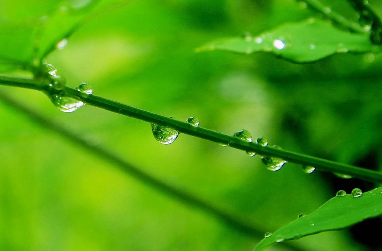 罗甸县中等职业学校