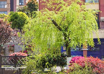 贵阳幼儿师范学校