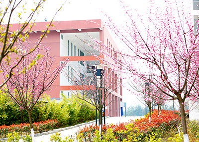 四川幼儿师范高等专科学校