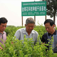 中草药种植专业