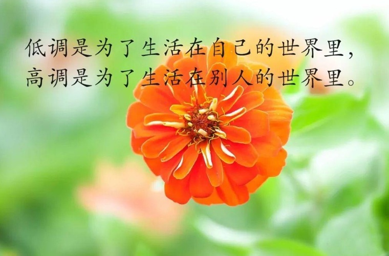 吕梁经济管理幼儿师范学校