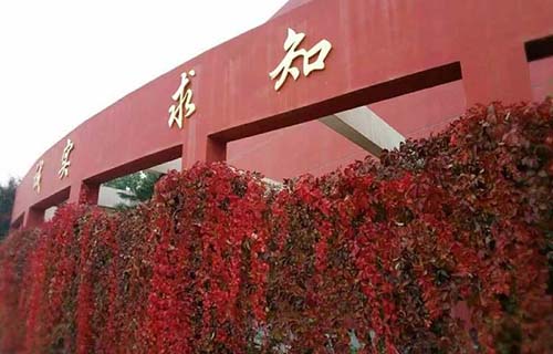 山西体育职业学院